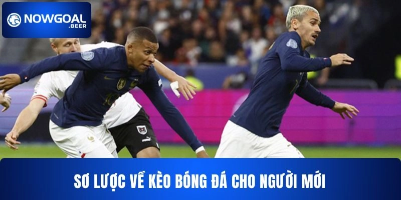 Sơ lược về kèo bóng đá NOWGOAL  dành cho người mới tham gia