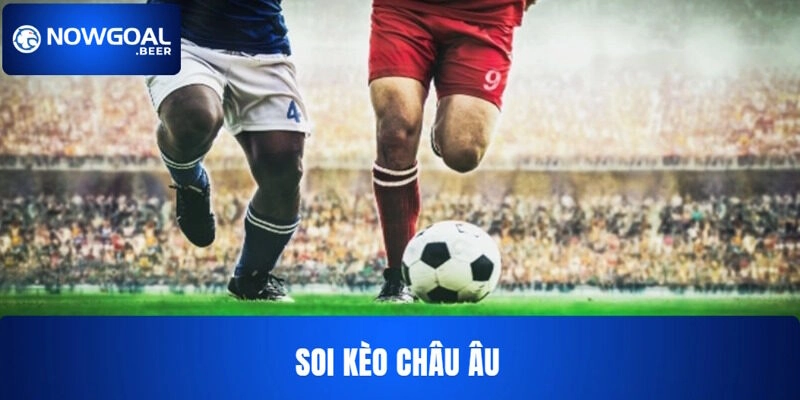 keo chau au nowgoal va cach soi Kèo châu Âu và kinh nghiệm chơi từ cao thủ