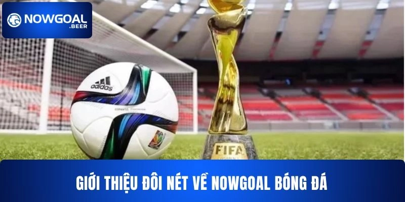 Giới thiệu đôi nét cho người chơi về NOWGOAL bóng đá 